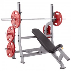 Neo-NOIB Steelflex Olympische Schrägbank