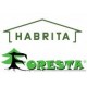 Cobertizo de jardín Habrita Thizy en madera termotratada 11,53 m2 con techo de acero